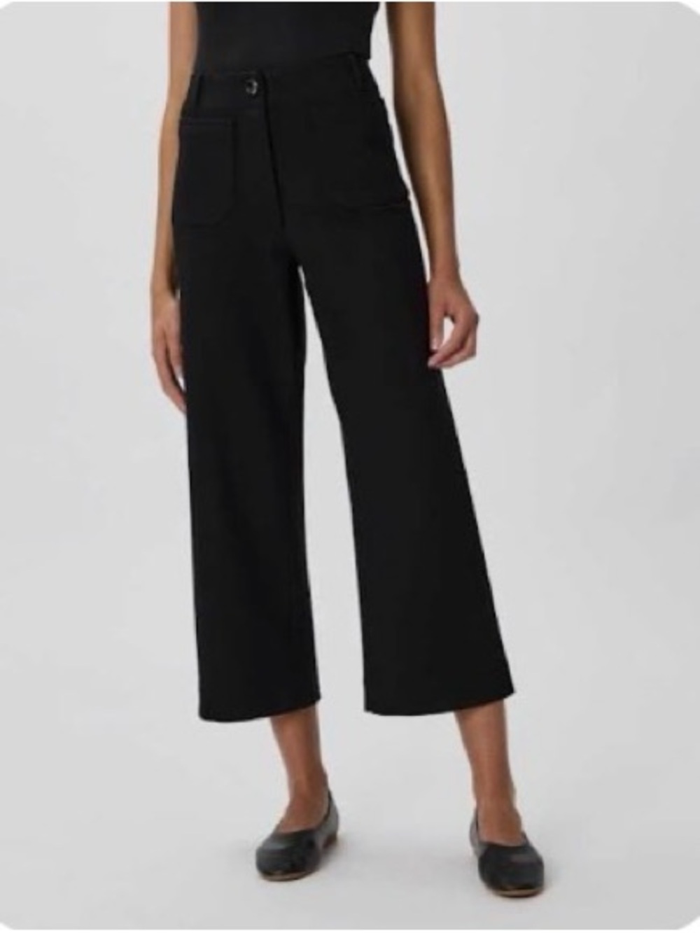 Quince chino Twill Wide-Leg Crop Pants career minimalist classic casual chic